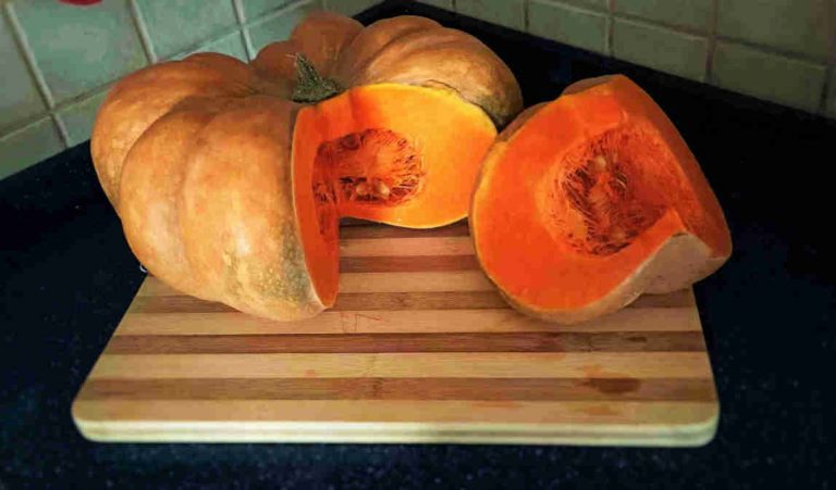 Zucca@Siciliabuona