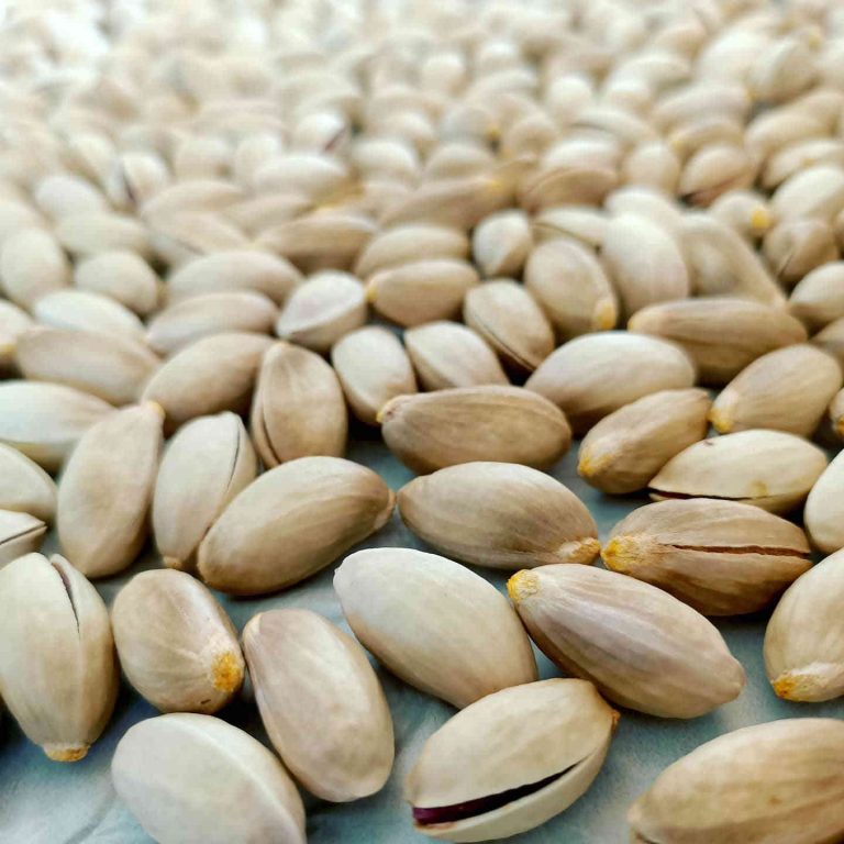 Pistacchio di Bronte - foto @AnnaLisaMaugeri