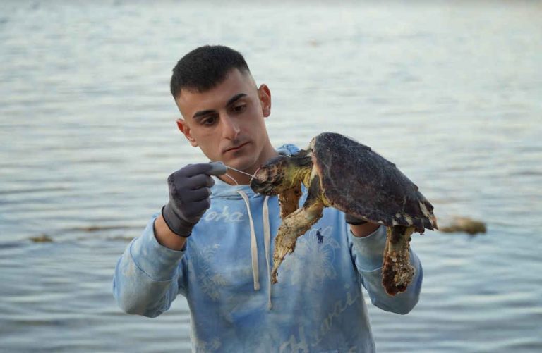 SEBASTIAN COLNAGHI - TARTARUGA CARETTA CARETTA RINVENUTA MORTA AL PLEMMIRIO