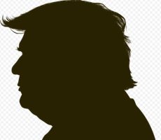 Foto di Gordon Johnson da Pixabay